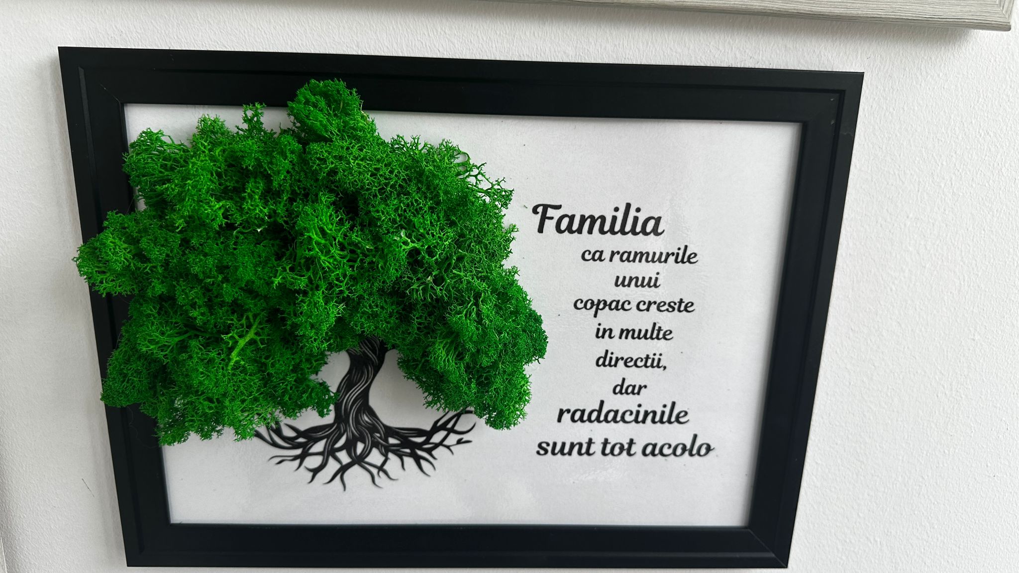 Tablou Licheni (3)