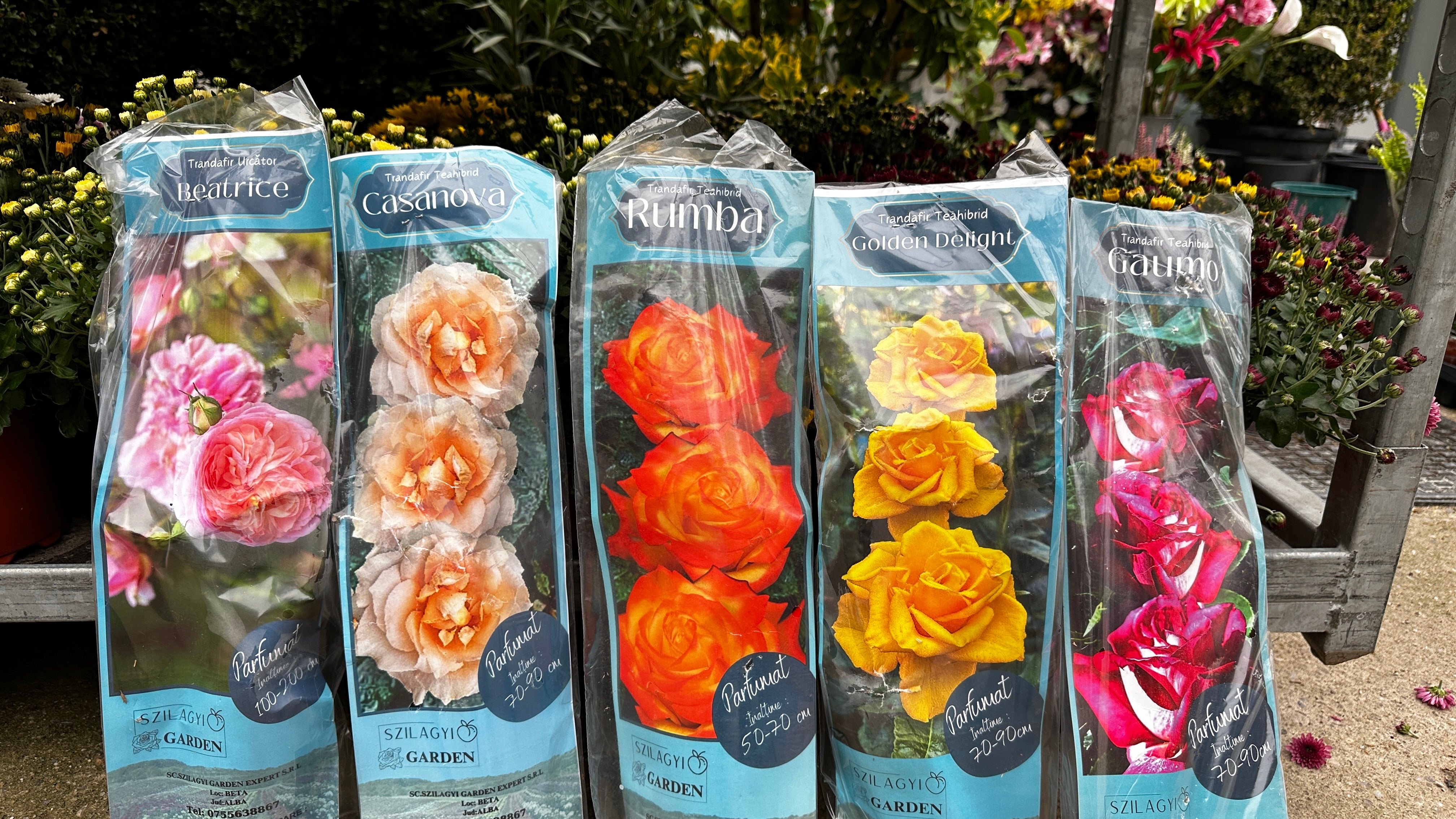 Set mixt 5 trandafiri