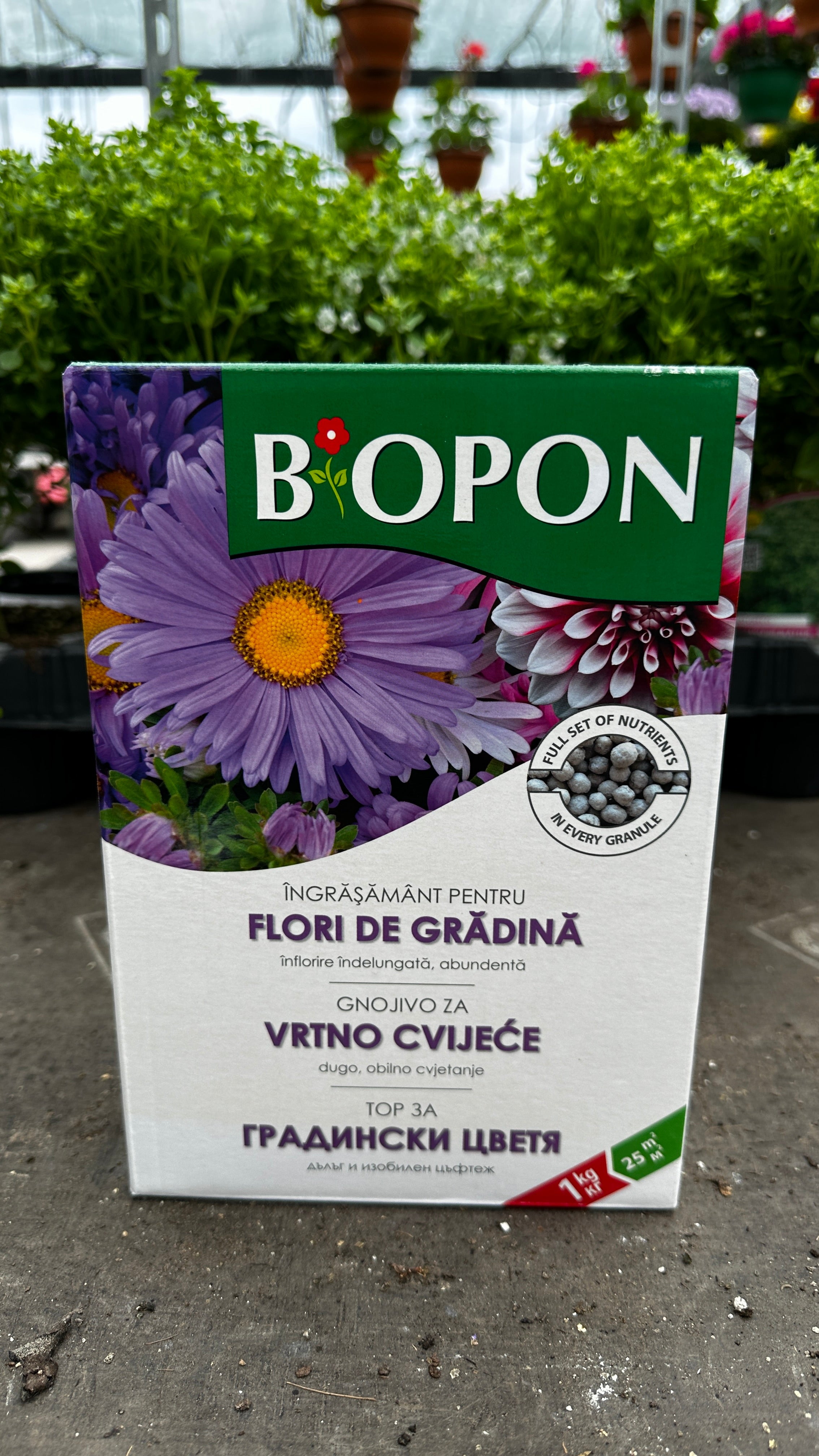 Ingrasamant pentru flori de gradina