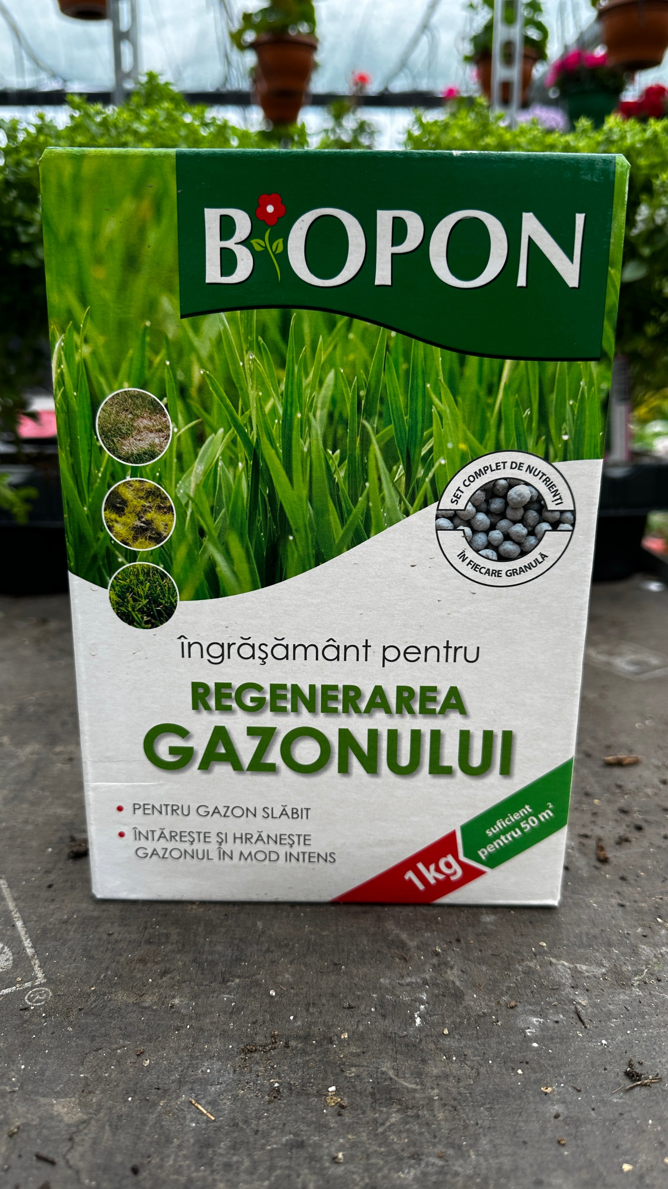 Ingrasamant pentru Regenerarea Gazonului