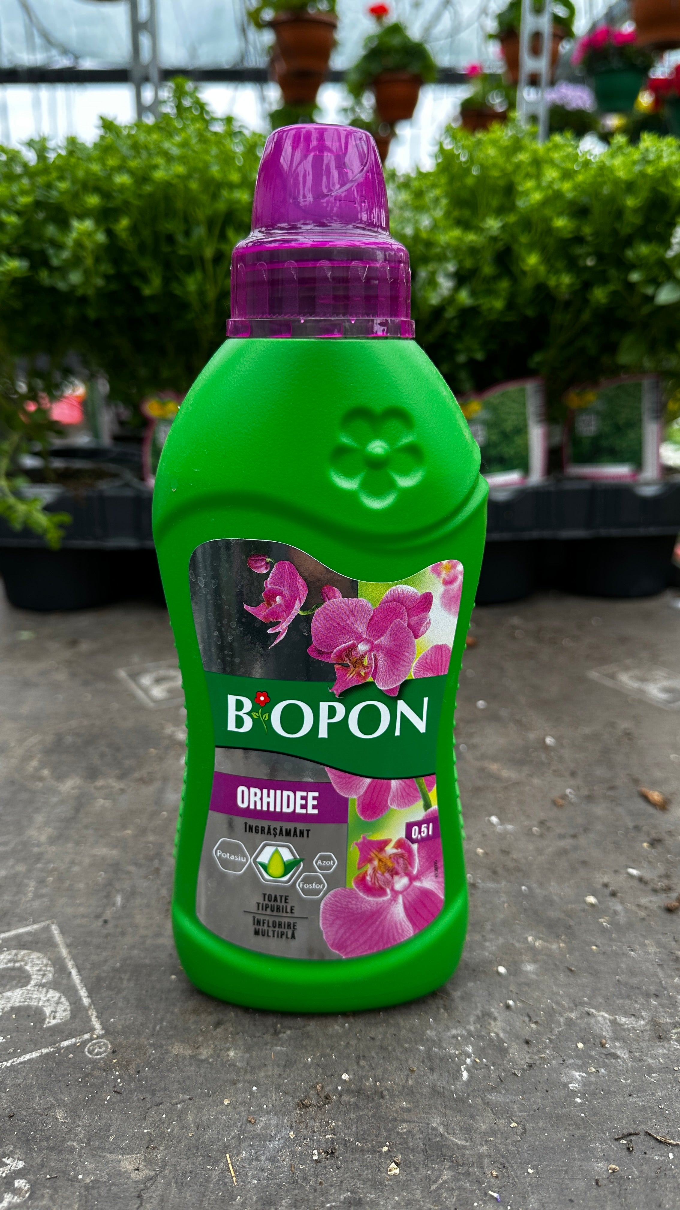 Ingrasamant pentru Orhidee
