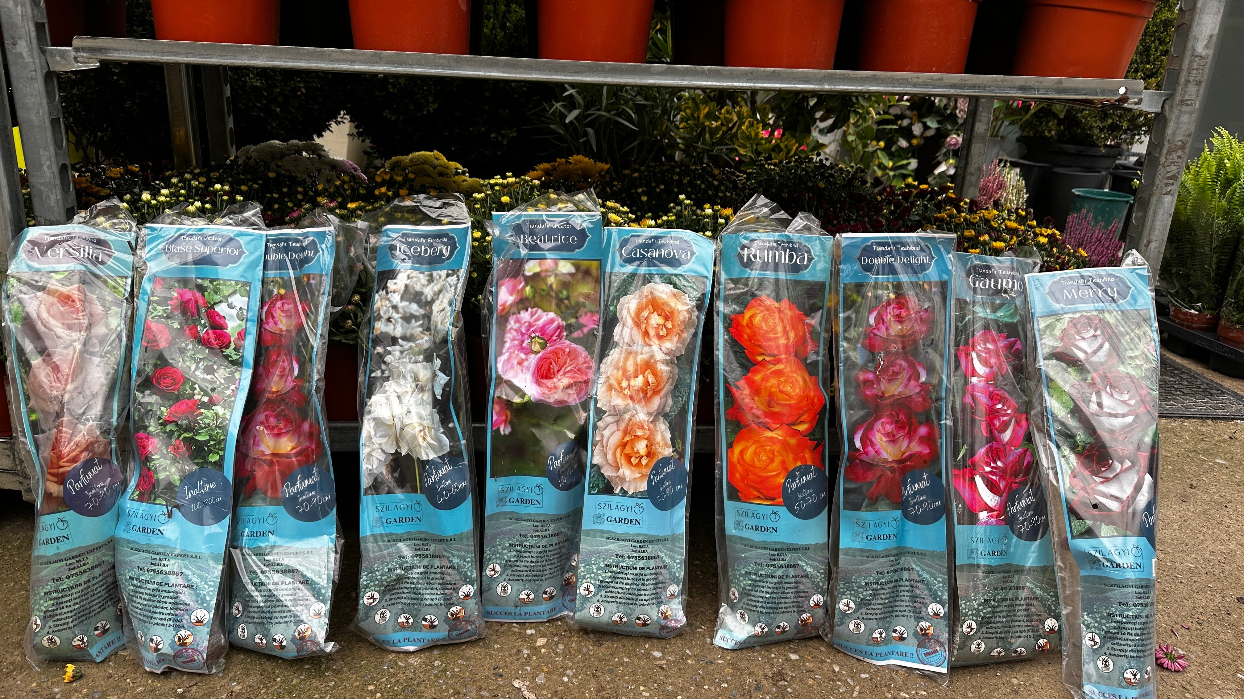 Set mixt 10 trandafiri