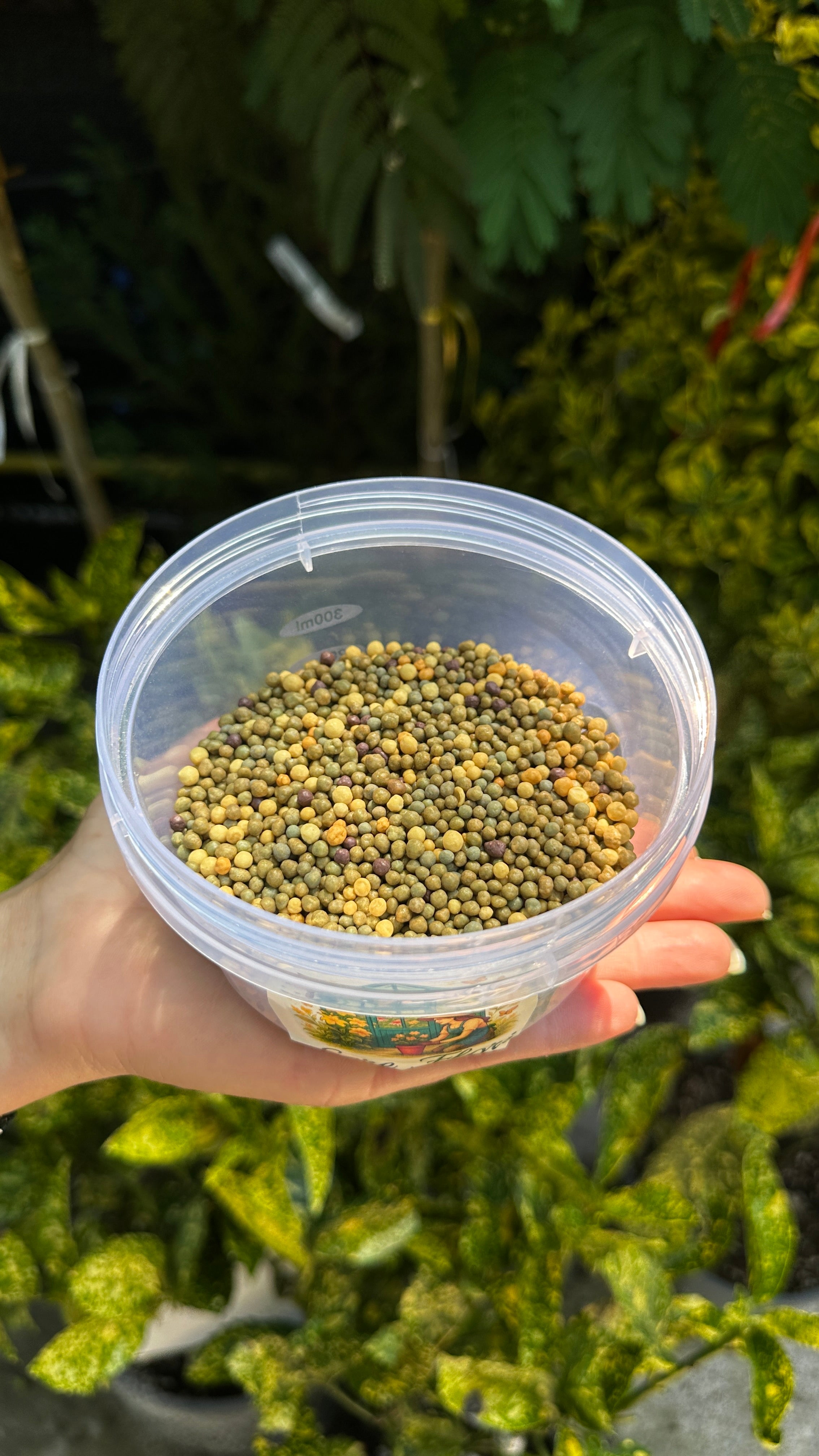 Hrănilică 🍃