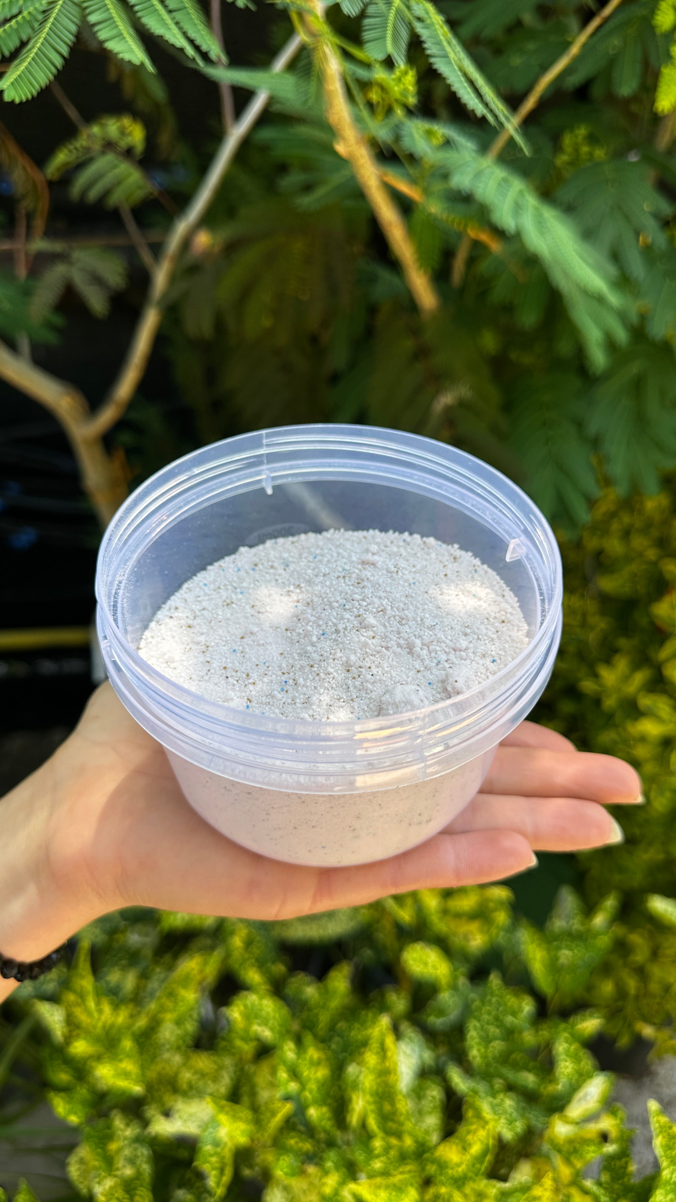 Stropilica 💧